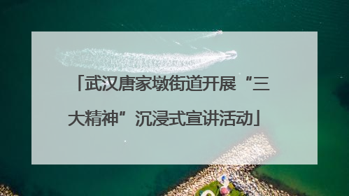 武汉唐家墩街道开展“三大精神”沉浸式宣讲活动