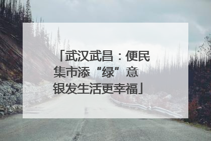 武汉武昌：便民集市添“绿”意 银发生活更幸福