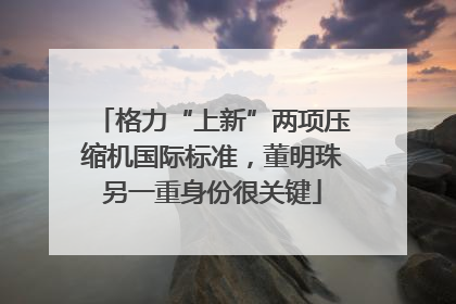 格力“上新”两项压缩机国际标准，董明珠另一重身份很关键
