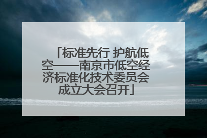 标准先行 护航低空——南京市低空经济标准化技术委员会成立大会召开
