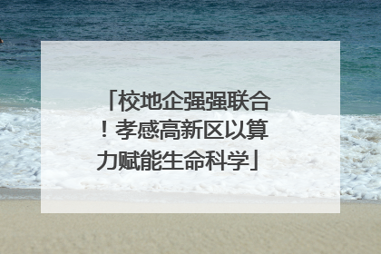 校地企强强联合！孝感高新区以算力赋能生命科学
