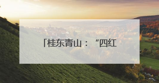 桂东青山：“四红”引领 业兴民富