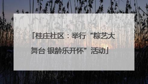 桂庄社区：举行“粽艺大舞台 银龄乐开怀”活动