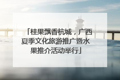 桂果飘香杭城，广西夏季文化旅游推广暨水果推介活动举行