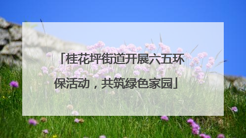 桂花坪街道开展六五环保活动，共筑绿色家园
