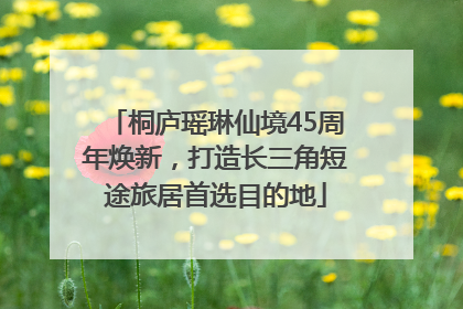桐庐瑶琳仙境45周年焕新，打造长三角短途旅居首选目的地