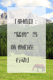 桑植县：“猛兽”当前 他们在行动