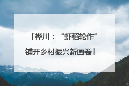 桦川：“虾稻轮作”铺开乡村振兴新画卷