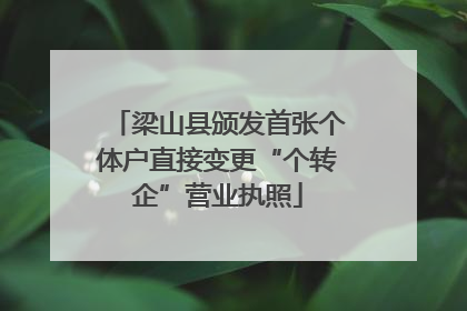 梁山县颁发首张个体户直接变更“个转企”营业执照