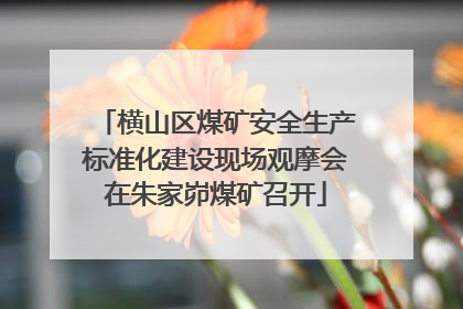 横山区煤矿安全生产标准化建设现场观摩会在朱家峁煤矿召开