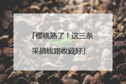樱桃熟了！这三条采摘线路收藏好