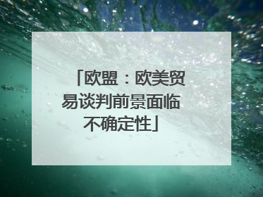 欧盟：欧美贸易谈判前景面临不确定性