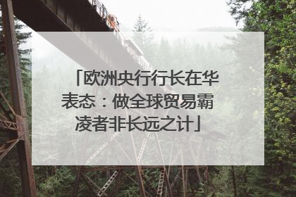 欧洲央行行长在华表态：做全球贸易霸凌者非长远之计