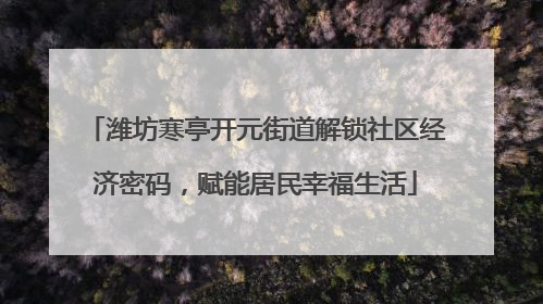 潍坊寒亭开元街道解锁社区经济密码，赋能居民幸福生活