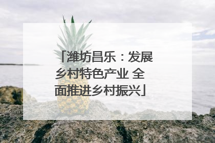 潍坊昌乐：发展乡村特色产业 全面推进乡村振兴