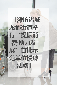 潍坊诸城龙都街道举行“提振消费·助力发展”首批示范单位授牌活动