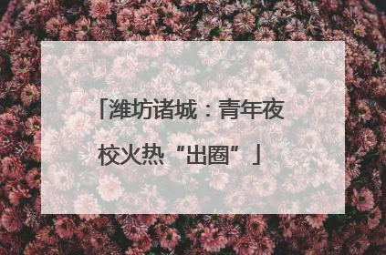 潍坊诸城：青年夜校火热“出圈”