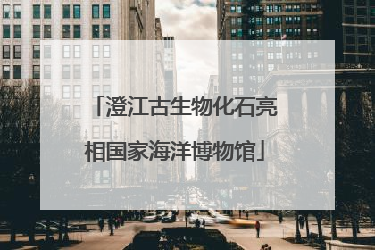 澄江古生物化石亮相国家海洋博物馆