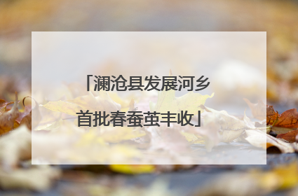 澜沧县发展河乡首批春蚕茧丰收