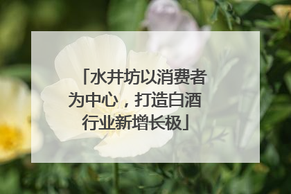 水井坊以消费者为中心，打造白酒行业新增长极