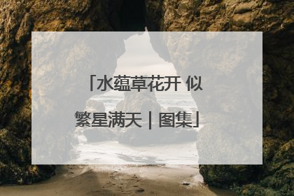 水蕴草花开 似繁星满天｜图集