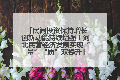 民间投资保持增长 创新动能持续增强！河北民营经济发展实现“量”“质”双提升