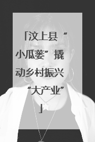 汶上县“小瓜蒌”撬动乡村振兴“大产业”