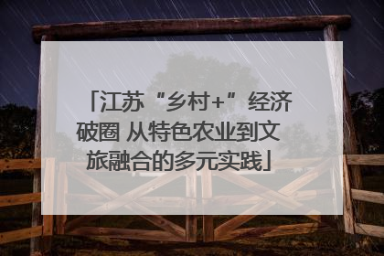 江苏“乡村+”经济破圈 从特色农业到文旅融合的多元实践