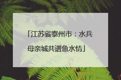 江苏省泰州市：水兵母亲城共谱鱼水情