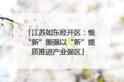 江苏如东经开区：惟“新”图强以“新”提质推进产业强区