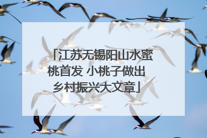 江苏无锡阳山水蜜桃首发 小桃子做出乡村振兴大文章