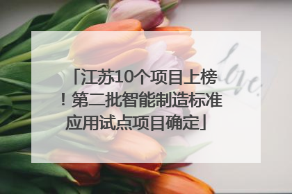 江苏10个项目上榜！第二批智能制造标准应用试点项目确定