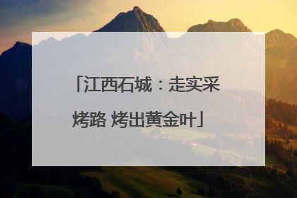 江西石城：走实采烤路 烤出黄金叶