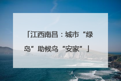 江西南昌：城市“绿岛”助候鸟“安家”