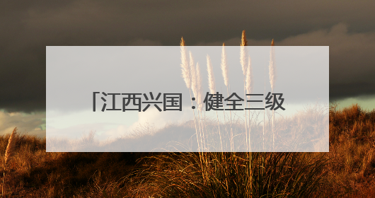 江西兴国：健全三级养老服务网络 全面提升养老服务质量