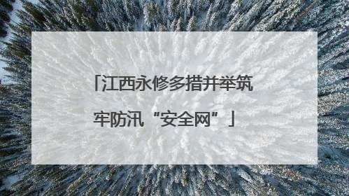 江西永修多措并举筑牢防汛“安全网”