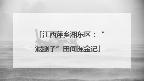 江西萍乡湘东区：“泥腿子”田间掘金记