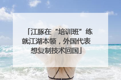 江豚在“培训班”练就江湖本领，外国代表想复制技术回国