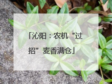 沁阳：农机“过招”麦香满仓