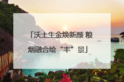 沃土生金焕新颜 粮烟融合绘“丰”景