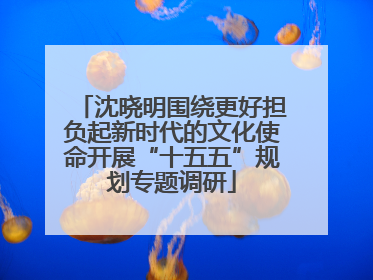 沈晓明围绕更好担负起新时代的文化使命开展“十五五”规划专题调研