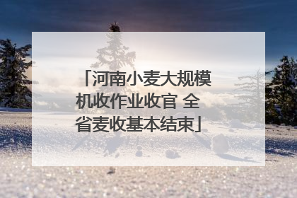 河南小麦大规模机收作业收官 全省麦收基本结束