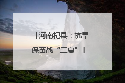 河南杞县：抗旱保苗战“三夏”
