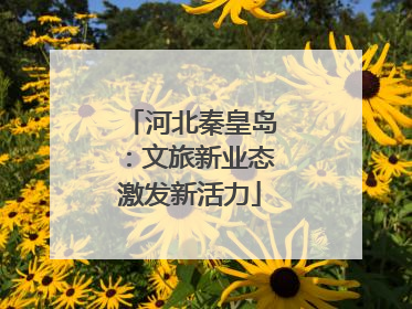 河北秦皇岛：文旅新业态激发新活力