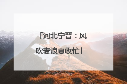 河北宁晋：风吹麦浪夏收忙