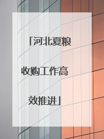 河北夏粮收购工作高效推进