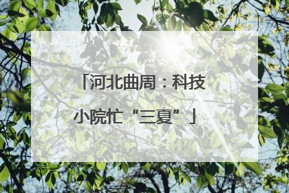 河北曲周：科技小院忙“三夏”
