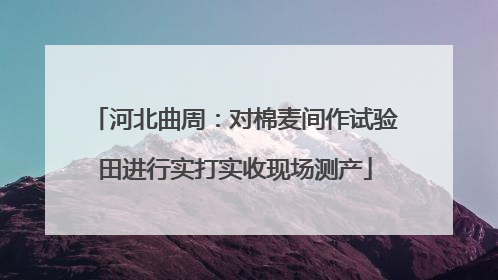 河北曲周：对棉麦间作试验田进行实打实收现场测产