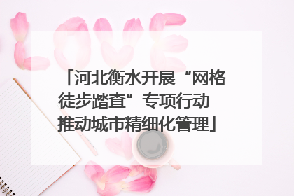 河北衡水开展“网格徒步踏查”专项行动 推动城市精细化管理