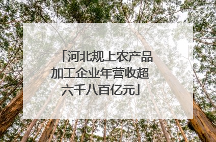 河北规上农产品加工企业年营收超六千八百亿元